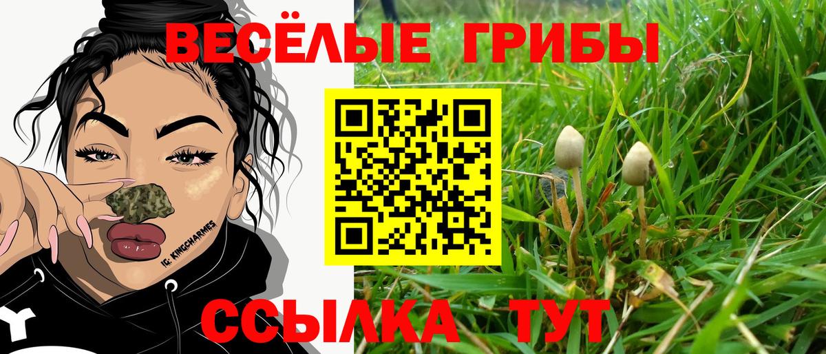 Псилоцибиновые грибы Cubensis  купить   Красноярск  Галлюциногенные грибы ЛСД  Вход с VPN 